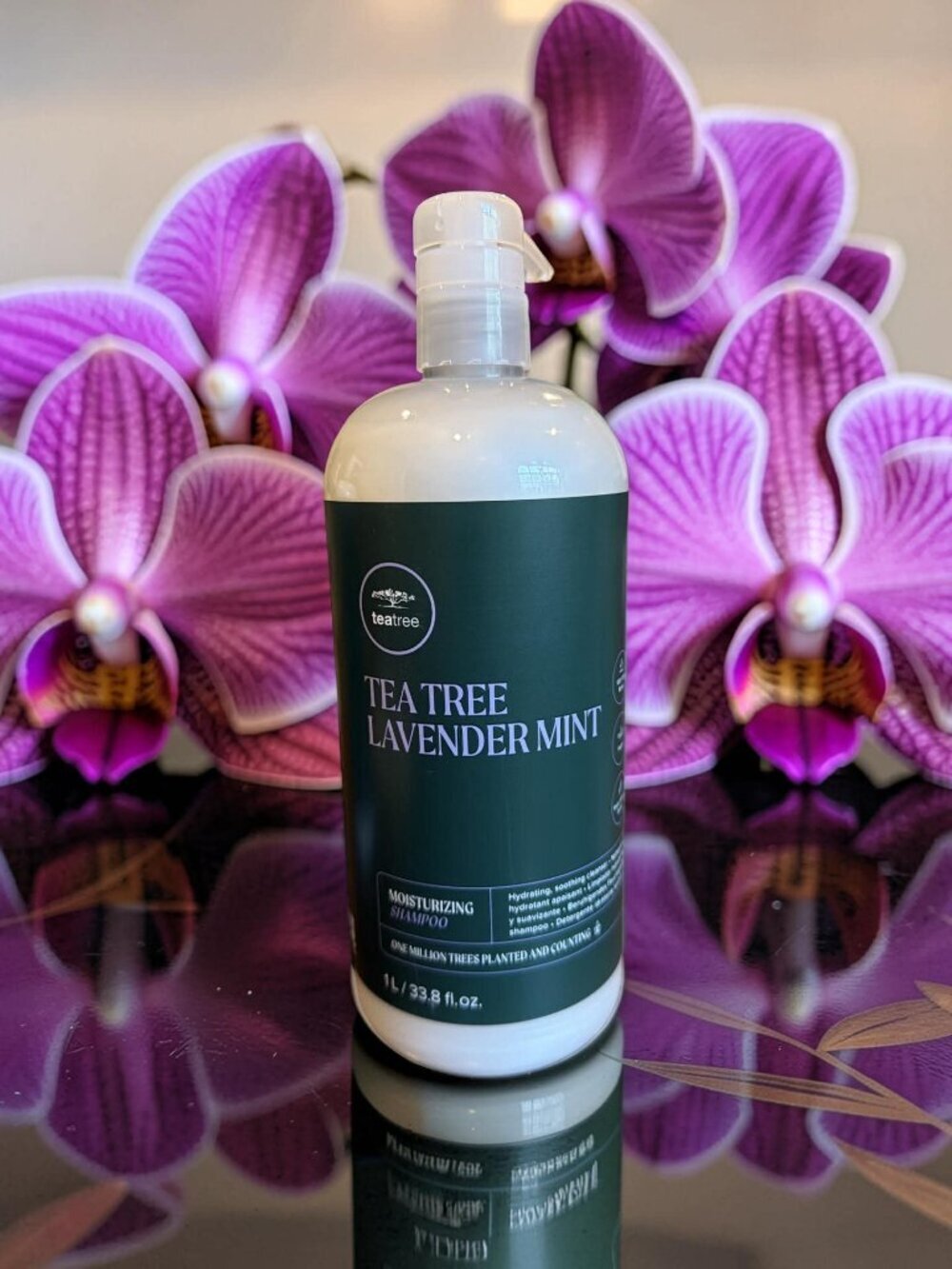 Paul Mitchell Tea Tree Lavender Mint Shampoo Conditioner 33.8 oz - Picture 3 of 3